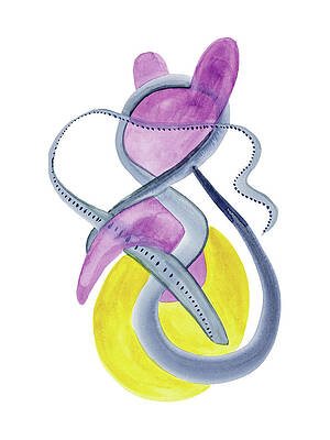 Fun Abstract Bubble Ears by Mark Beckwith Fun Abstract Bubble Ears by Mark Beckwith