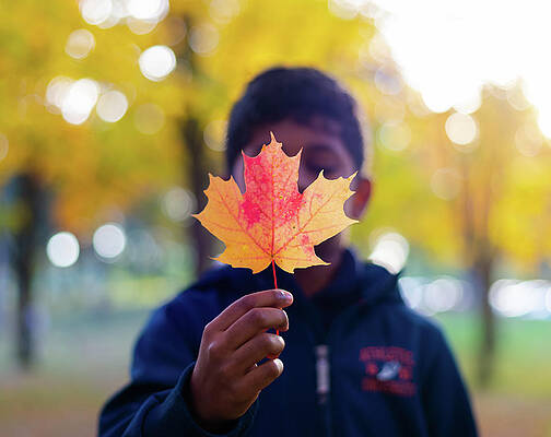 Fun in the Fall by Aarthi Arunkumar Fun in the Fall by Aarthi Arunkumar