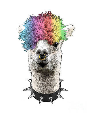 Llama top nose ring