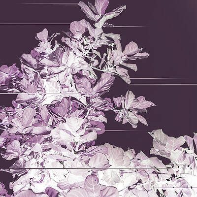 FUTURE FLOW by Lloyd Arbour FUTURE FLOW by Lloyd Arbour