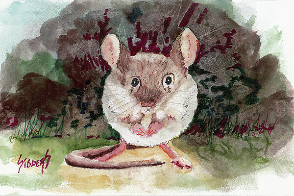 Fuzzy Little Fellow by Sam Sidders Fuzzy Little Fellow by Sam Sidders