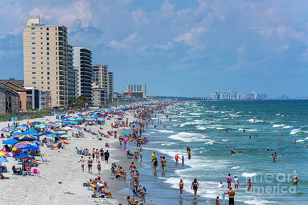 Wall Art - Photograph - Garden City Summer Day by David Smith