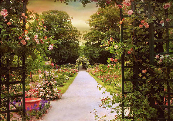 Wall Art - Photograph - Garden Gate by Jessica Jenney