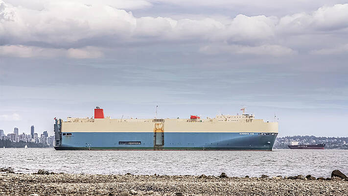 Gardenia Ace in Vancouver by Bj Clayden Gardenia Ace in Vancouver by Bj Clayden