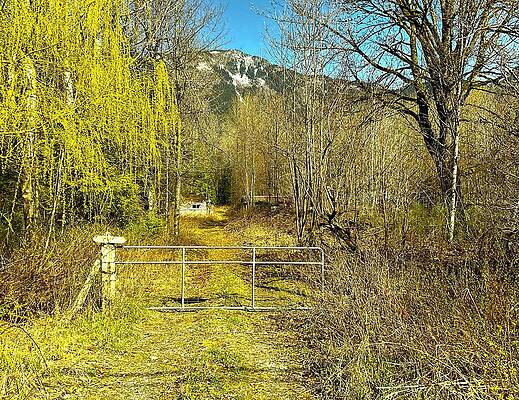 Wall Art - Photograph - Gate Cabin Mountain Road by Lawrence Christopher