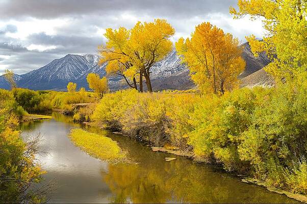 Genoa Fall by Troy Wright