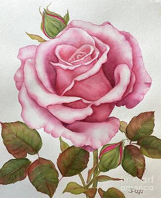 The pink rose by Inese Poga The pink rose by Inese Poga