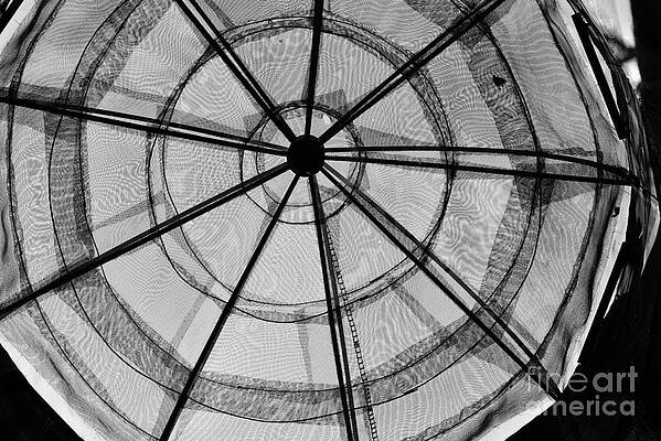 Geometric View by Kae Cheatham Geometric View by Kae Cheatham