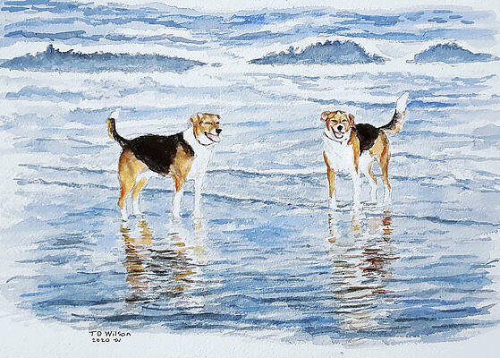 Georgia and Mia on beach by TD Wilson Georgia and Mia on beach by TD Wilson