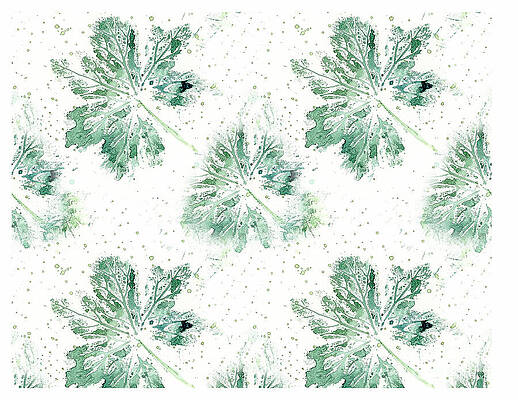 Wall Art - Photograph - Geranium Play by Marilyn Cornwell