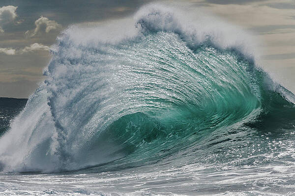 Giant Curl by Alan Hart Giant Curl by Alan Hart