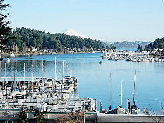 Gig Harbor by Bill TALICH Gig Harbor by Bill TALICH