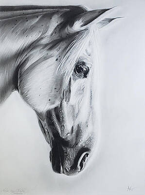 Wall Art - Drawing - Gleam- original  by Alexis King-Glandon