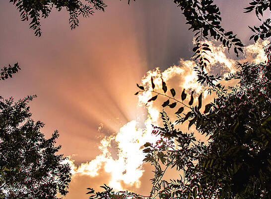 Wall Art - Photograph - God Says Hi by W Craig Photography