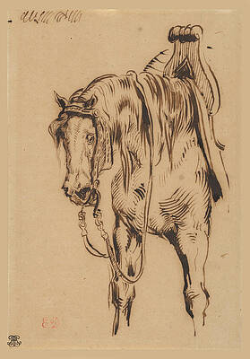 Goetz von Berlichingen's Horse Print by Eugene Delacroix