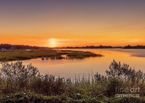 Golden Day by Michelle Tinger Golden Day by Michelle Tinger
