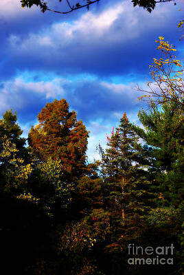 Golden Hour Autumn - Painterly - Frank J Casella by Frank J Casella Golden Hour Autumn - Painterly - Frank J Casella by Frank J Casella