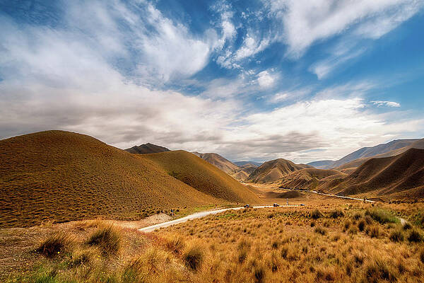 Golden light at a New Zealand Desert Mountain Pass by Daniela Constantinescu Golden light at a New Zealand Desert Mountain Pass by Daniela Constantinescu