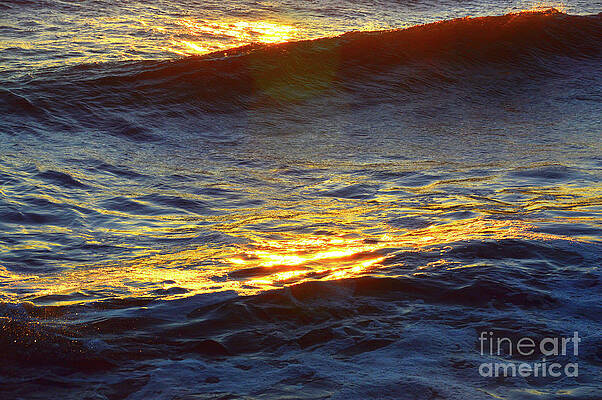 Golden Wave #3 by Robyn King Golden Wave #3 by Robyn King