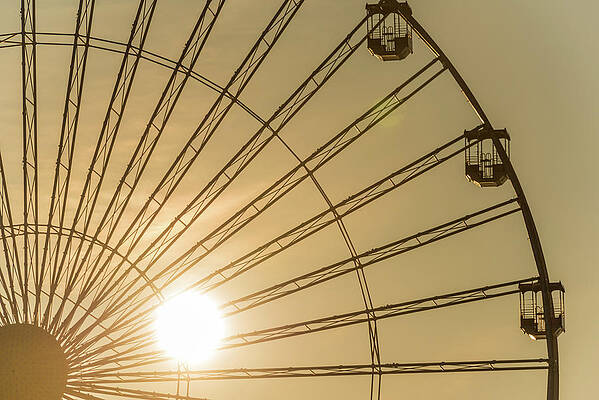 Golden Wheel by Kristopher Schoenleber Golden Wheel by Kristopher Schoenleber