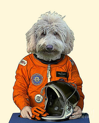 Wall Art - Digital Art - Goldendoodle cosmonaut portrait by Madame Memento