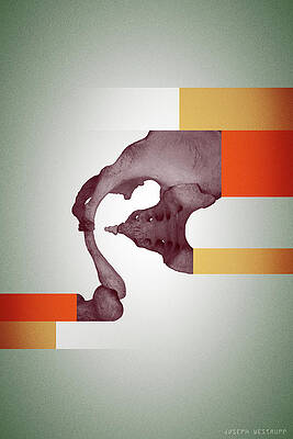 Golem - Surreal Abstract Bone Collage and Geometry by Joseph Westrupp Golem - Surreal Abstract Bone Collage and Geometry by Joseph Westrupp