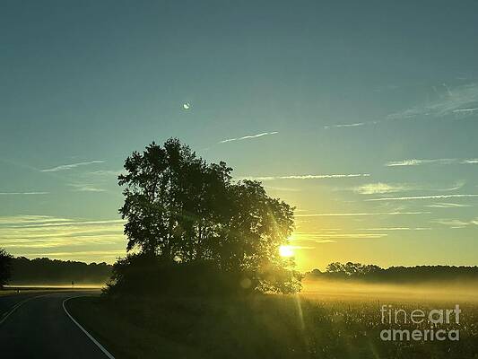 Wall Art featuring the photograph Good Morning by Catherine Wilson