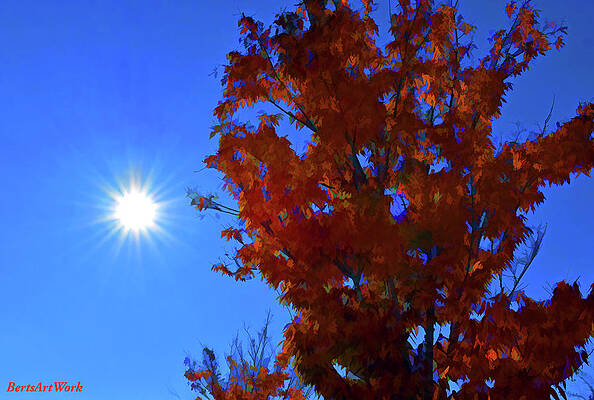 Wall Art - Photograph - Goodbye Summer Hello Fall by Roberta Byram