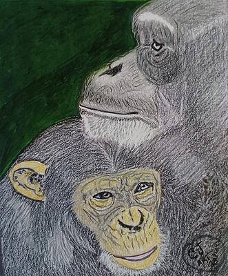 Baby Gorilla Drawing by Agata Siemiatkowska - Fine Art America