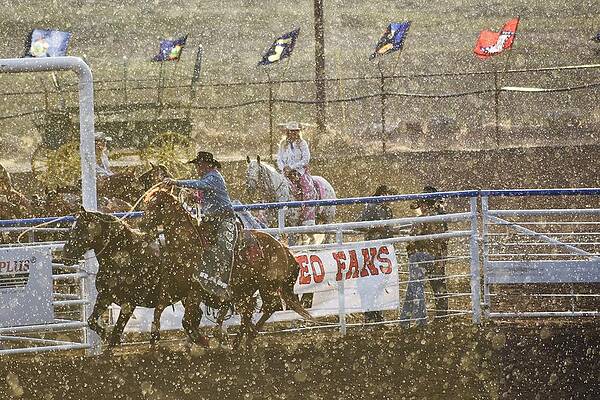 Wall Art - Photograph - Gotcha by Alden White Ballard