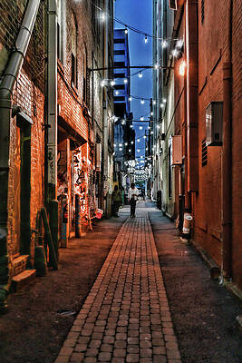 Graffiti Alley Knoxville by Sharon Popek Graffiti Alley Knoxville by Sharon Popek