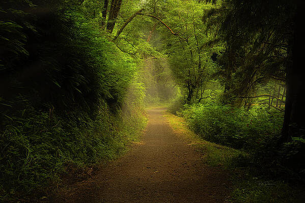 grandpa's road by Bill Posner grandpa's road by Bill Posner