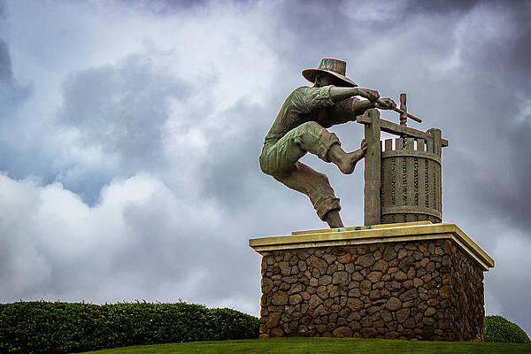 Dramatic Photograph - Grape Crusher by David Fountain