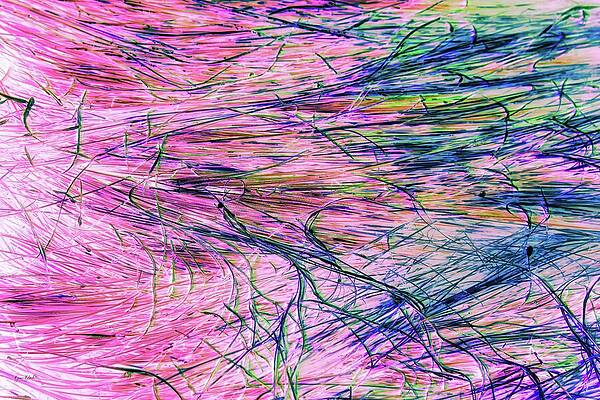 Wall Art - Digital Art - Grass In A Tide Pool by Bruce Block