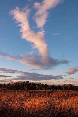 Grassland Sunset by Joseph Smith Grassland Sunset by Joseph Smith