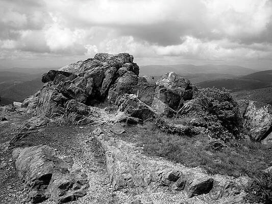 Grayson Highlands by Stewart Fortune