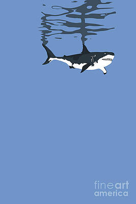 Great White Shark 002 by Clayton Bastiani Great White Shark 002 by Clayton Bastiani