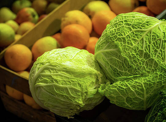 Green Cabbages by Luis Vasconcelos Green Cabbages by Luis Vasconcelos