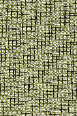 Green Stick Abstract # 4199 by Tom Janca Green Stick Abstract # 4199 by Tom Janca