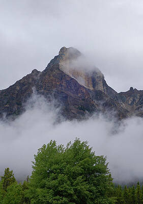 Wall Art - Photograph - Green Trees And Mountains by Dan Sproul