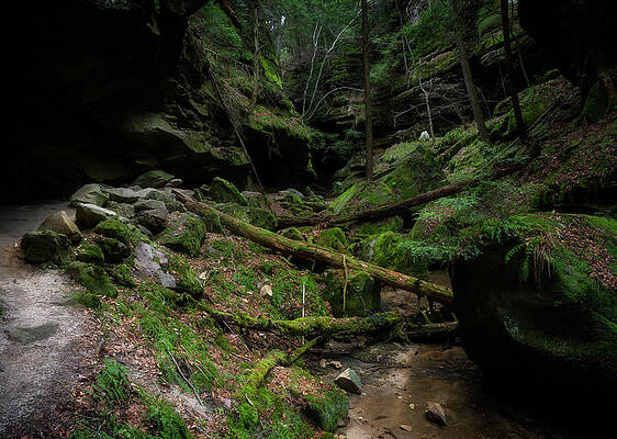 Greens In Hocking Hills by Dan Sproul Greens In Hocking Hills by Dan Sproul