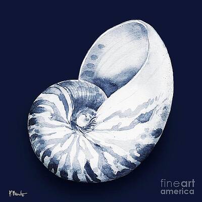 Nautilus Shell Paintings Fine Art America Nautilus Shell Paintings Fine Art America