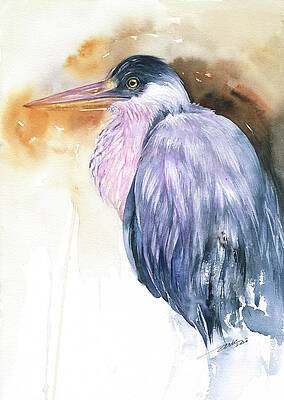 Grey Heron Boyd by Arti Chauhan Grey Heron Boyd by Arti Chauhan