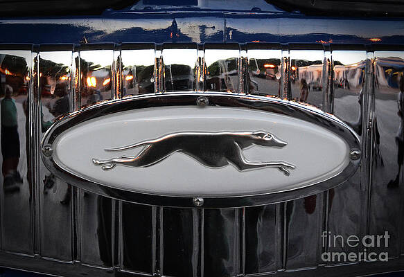 Wall Art - Photograph - Greyhound Bus Logo by Ron Long