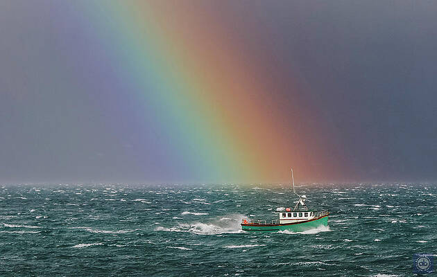 Gripper and the rainbow by Anatole Beams Gripper and the rainbow by Anatole Beams