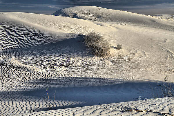 Guadalupe Salt Basin Shadows by Adam Jewell Guadalupe Salt Basin Shadows by Adam Jewell