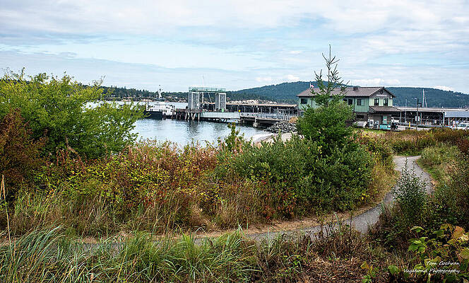 Guemes Island Ferry and Kiwanis Park Path by Tom Cochran