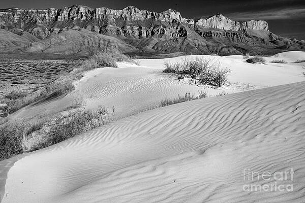 Gypsum Curves Below The Guadalupe Mountains Black And White by Adam Jewell Gypsum Curves Below The Guadalupe Mountains Black And White by Adam Jewell