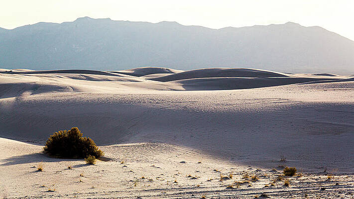 gypsum sand dune #2 by Dan Hartford gypsum sand dune #2 by Dan Hartford
