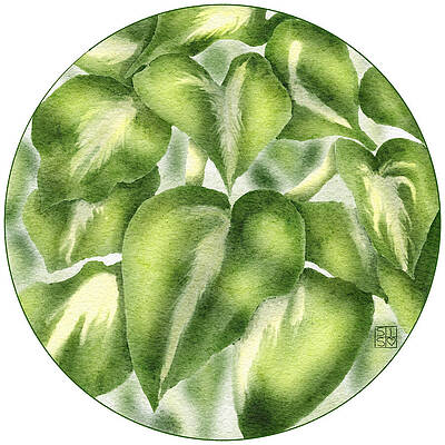 Wall Art - Digital Art - Hand-Drawn Botanical Hosta Plant Artwork Uniquely Crafted Green Serenity for Home Decor by Snow Iris Studio